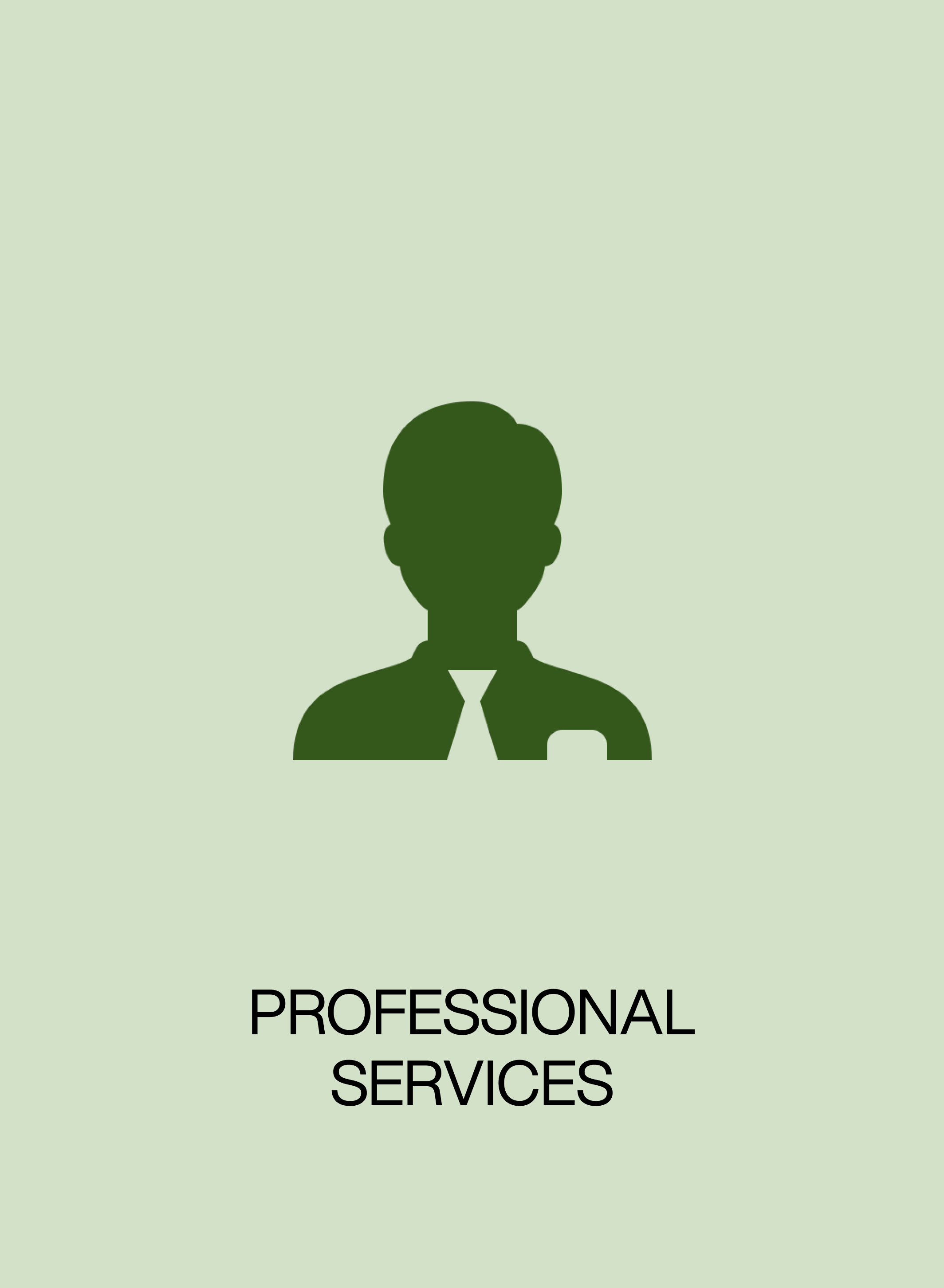 Professional-Services